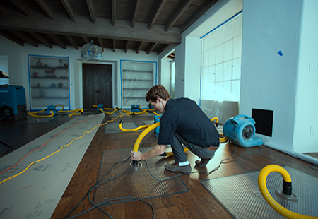 Water damage clean up.